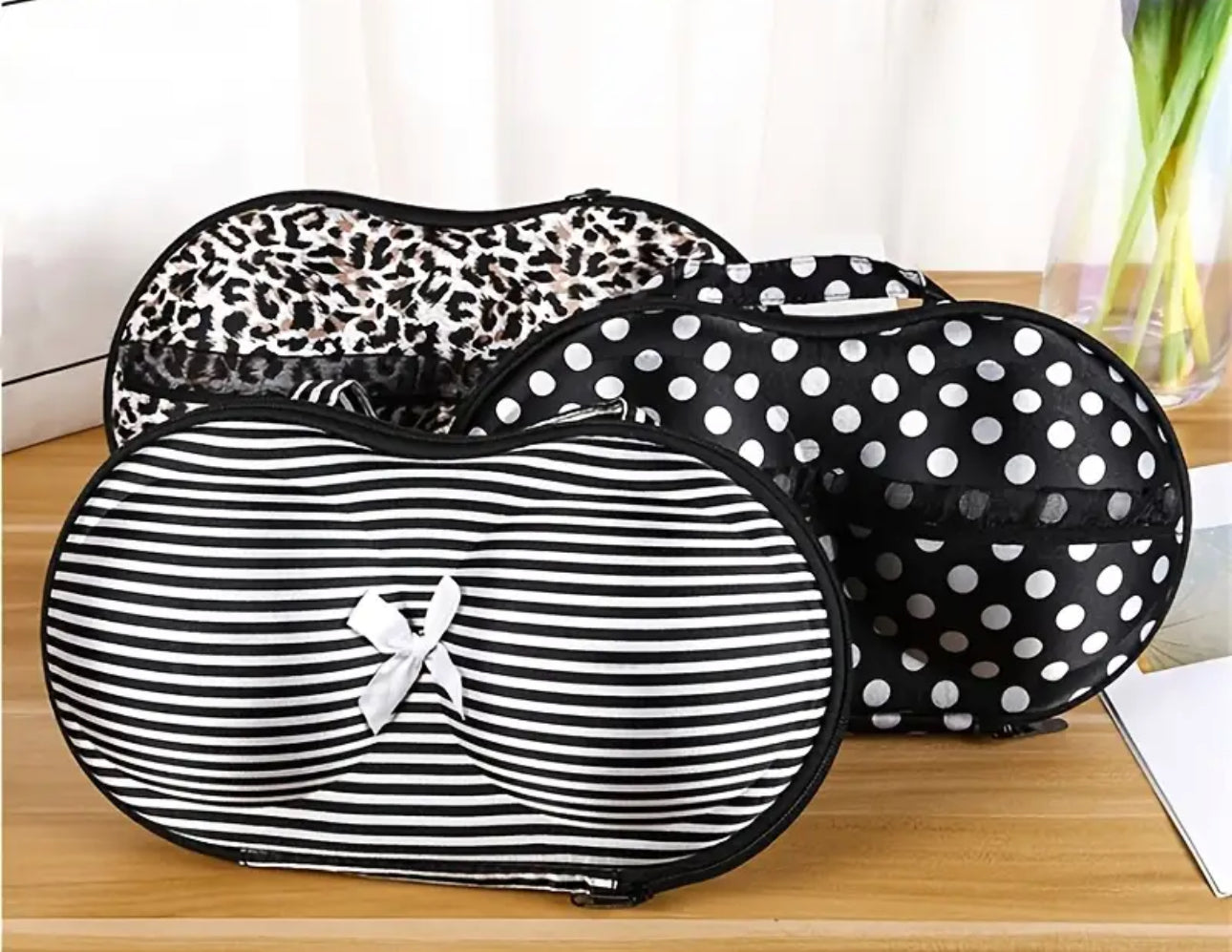 Bra/Bikini Hardcase