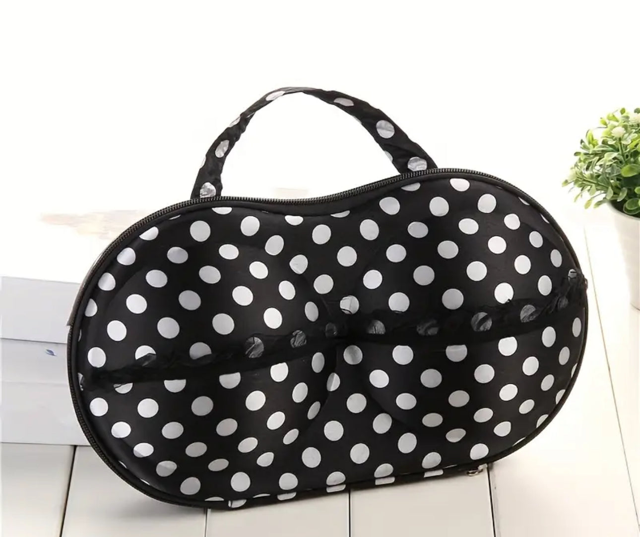 Bra/Bikini Hardcase