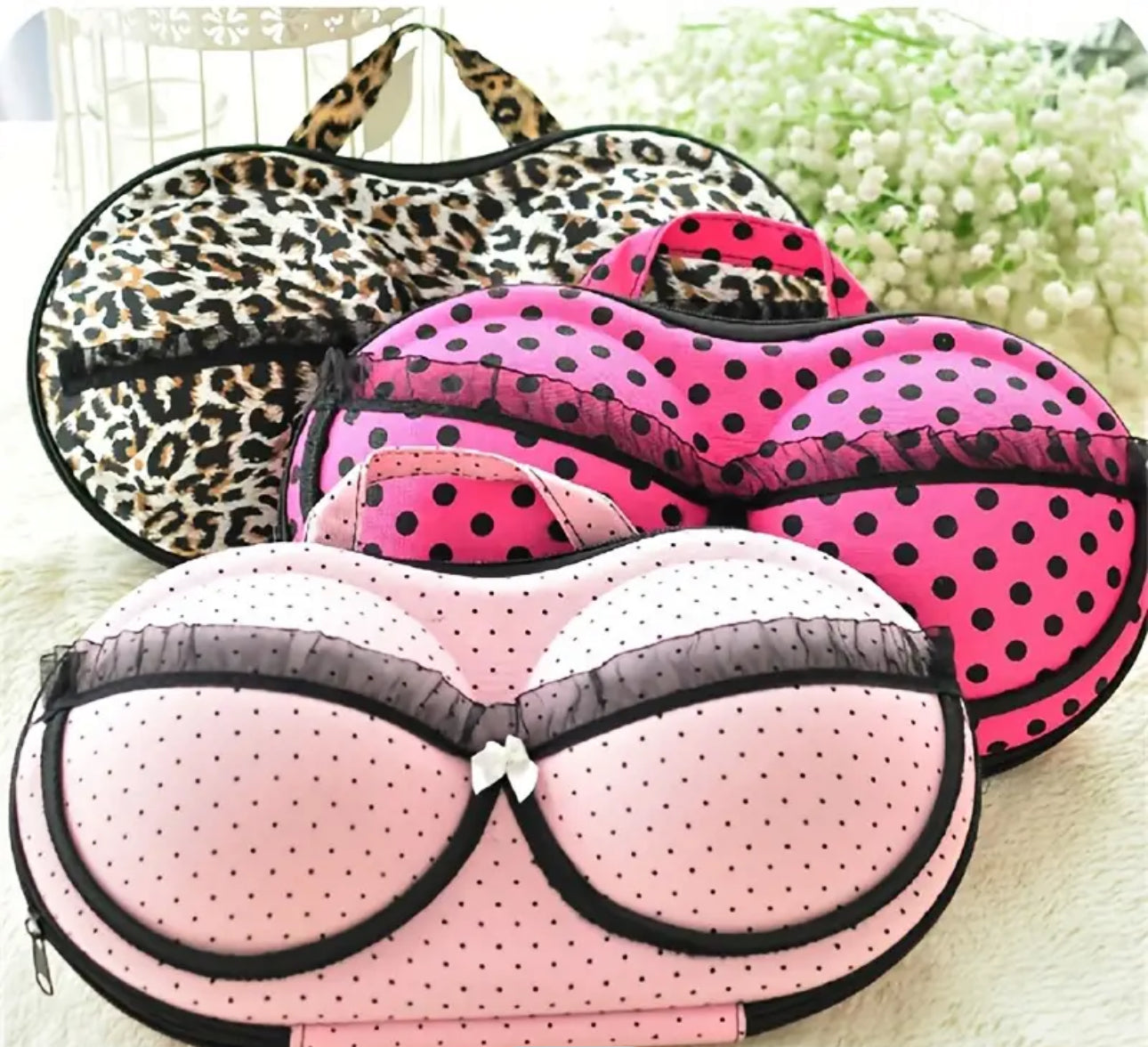 Bra/Bikini Hardcase